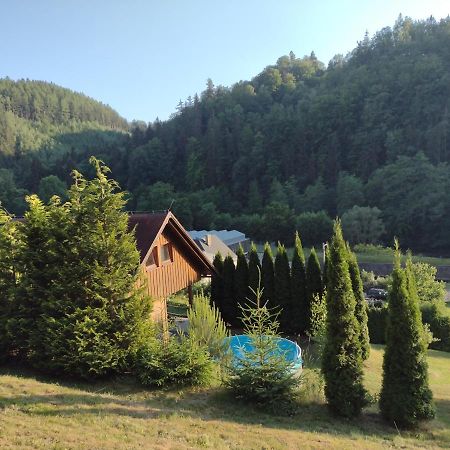 Chata Dvírka Zelezny Brod Exterior foto